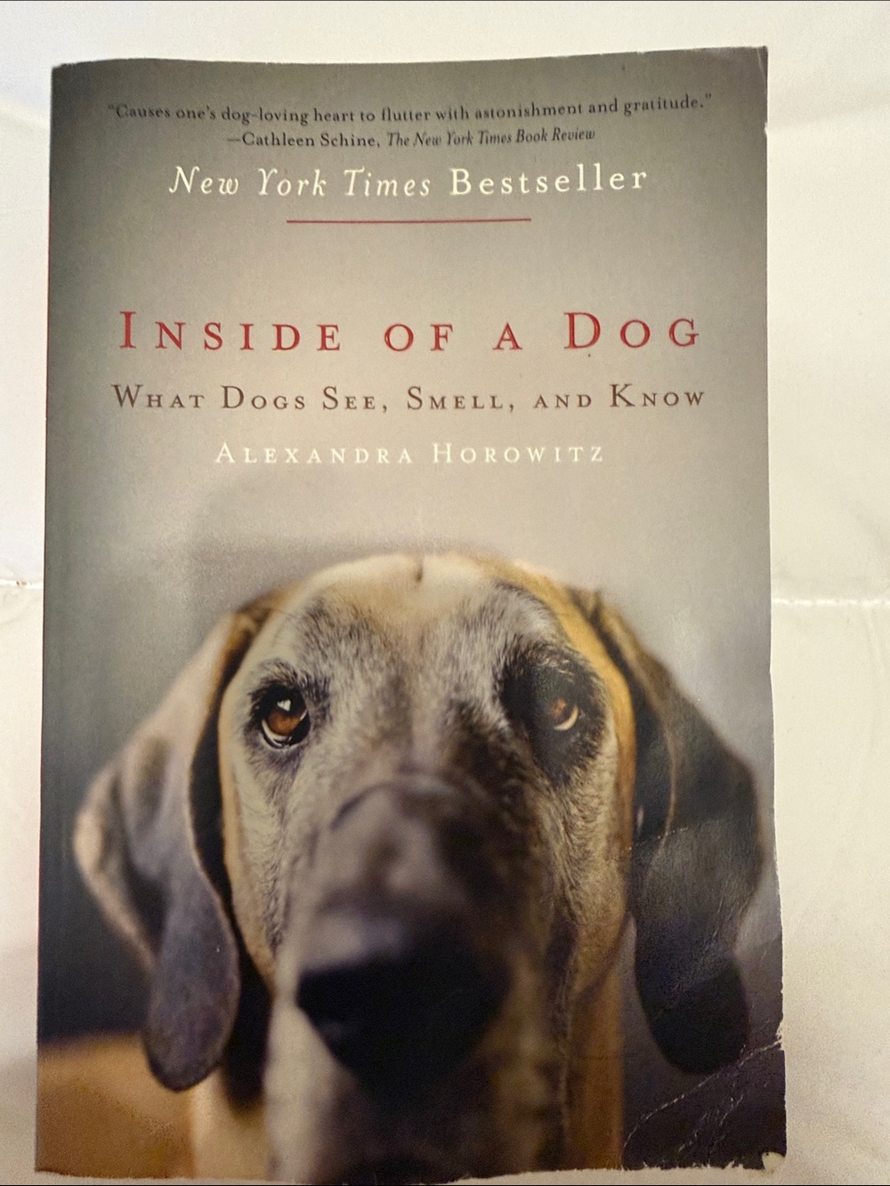 Inside of a Dog by Alexandra Horowitz - Beige Cover